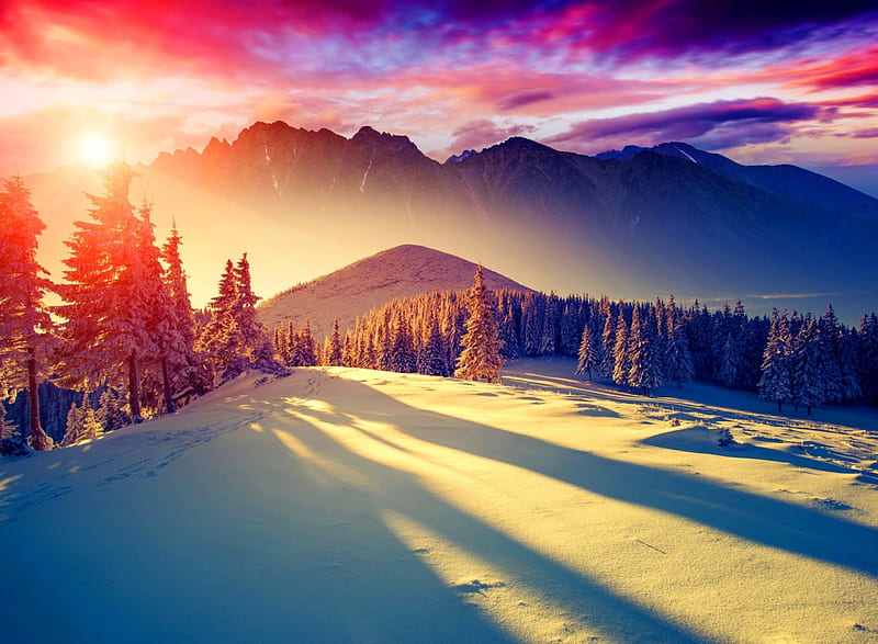 Winter sun, hills, pretty, colorful, amazing, glow, sun, bonito, sunset, trees, winter, mountain, rays, snow, nature, sunrise, landscape, HD wallpaper