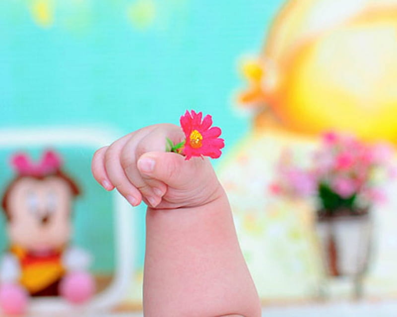 Small hand, flower, hand, petals, baby, HD wallpaper