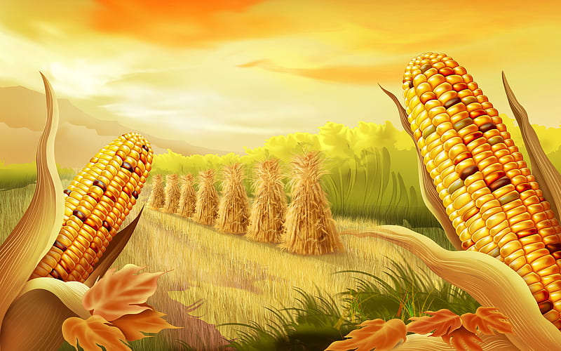 Corn, 3d, sky, field, HD wallpaper