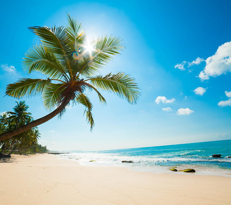 beach, landscape, paradise, HD wallpaper