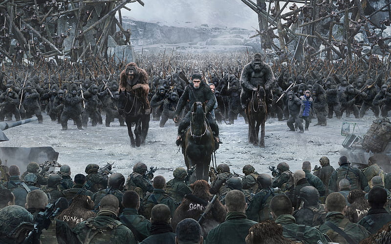 War for the Planet of the Apes, guerra, apes, planet, 2017, for, HD wallpaper