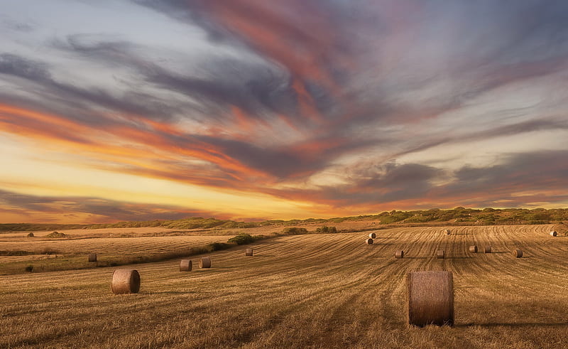 Earth, Haystack, Field, Nature, Summer, Sunset, HD wallpaper