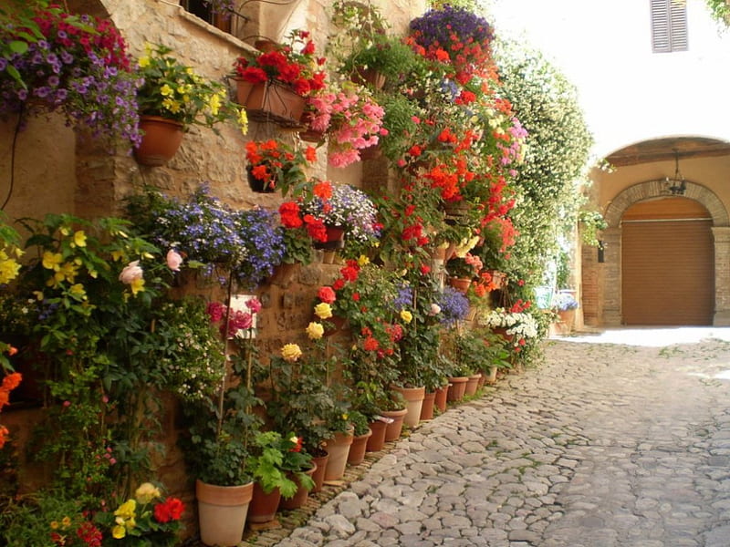 Wall Of Flowers, planters, flowers, wall, brick, HD wallpaper
