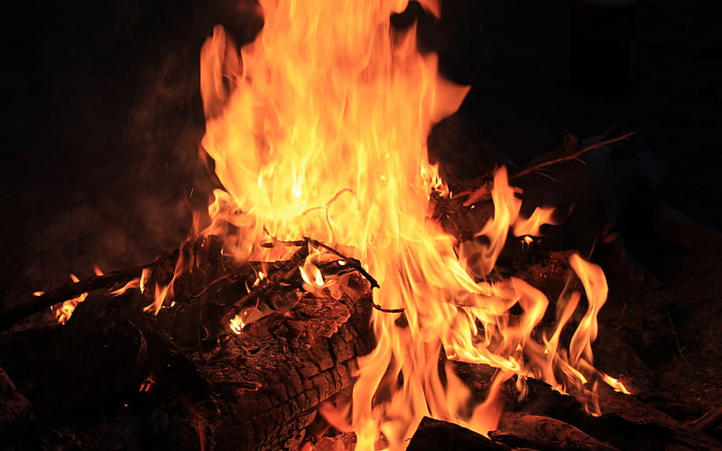 big flame, bonfire, evening, flame, burning tree, burning coal, HD wallpaper