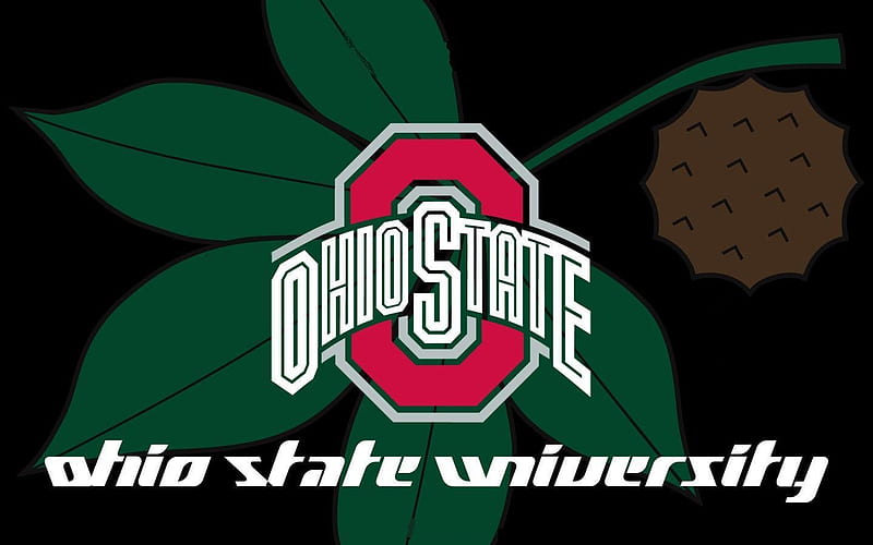 OHIO STATE UNIVERSITY, football, ohio, state, buckeye, HD wallpaper