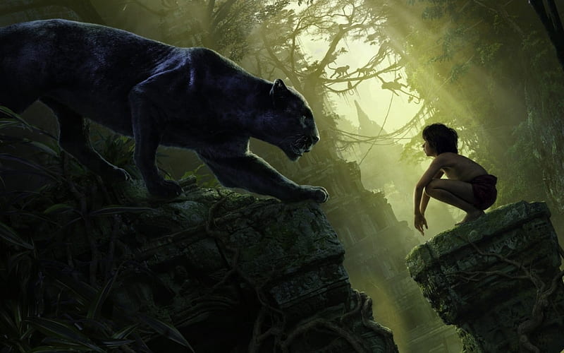 The Jungle Book (2016), movie, Bagheera, black, panther, animal, boy, fantasy, the jungle book, Mowgli, child, disney, HD wallpaper