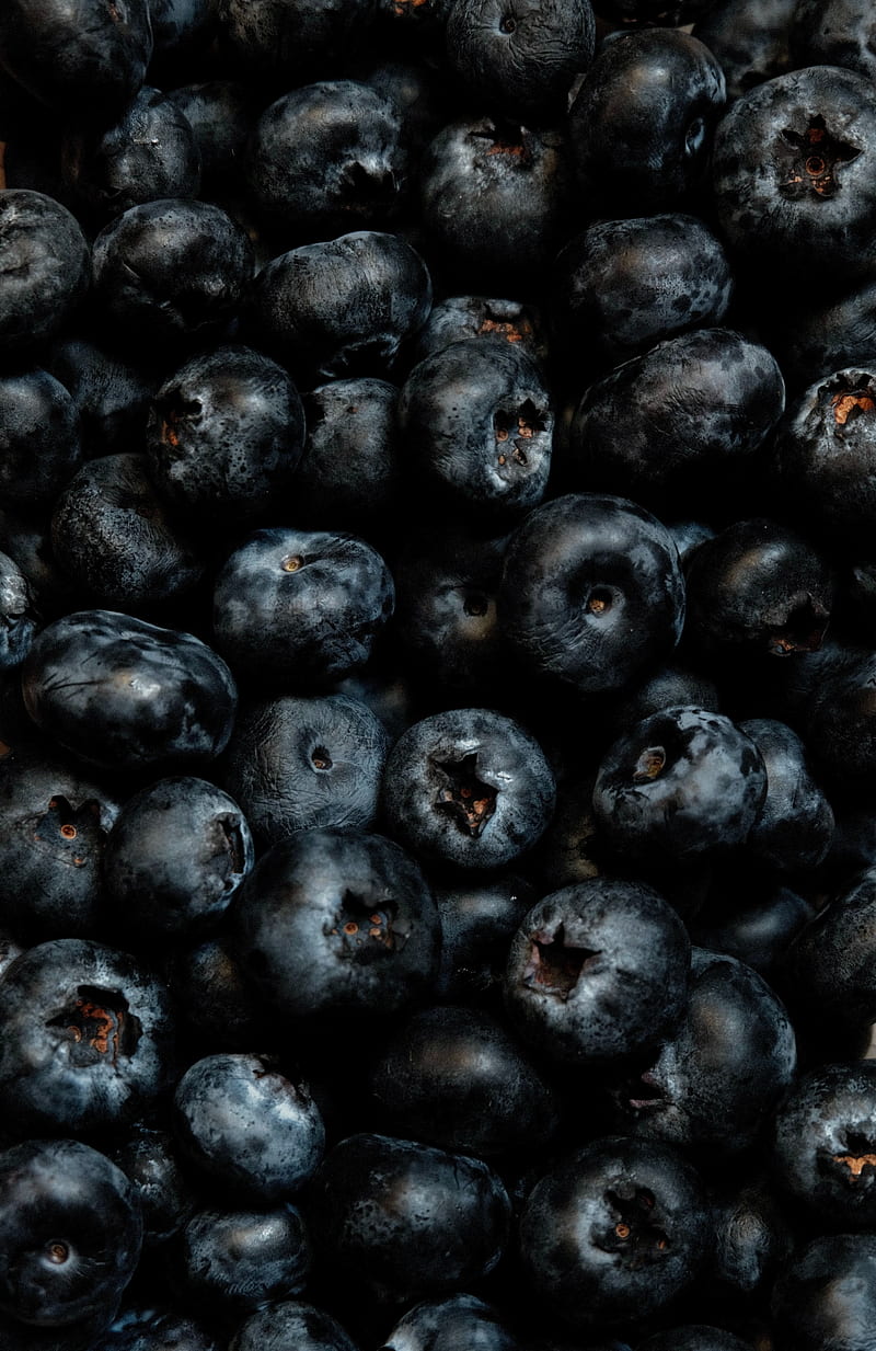 blueberries, berries, ripe, fresh, HD phone wallpaper