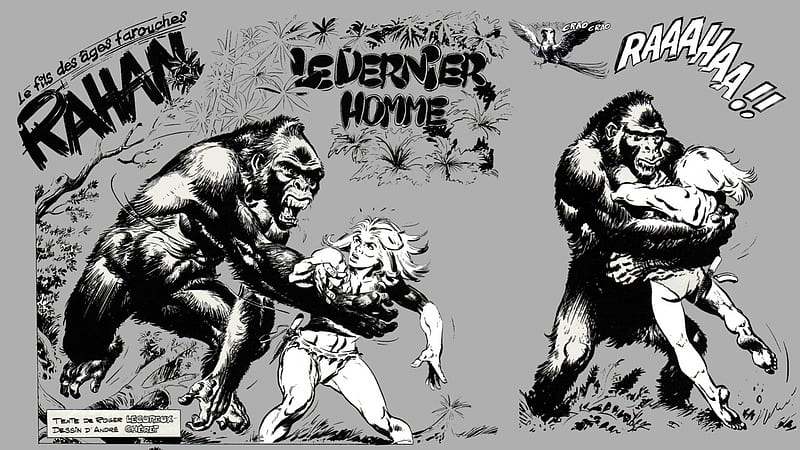 Rahan fighting a gorilla, forma, nice, new moon, Homo Sapiens, face, stoneage, collage, france, moonlight, white, rahan, black and white, bonito, Lecureux, dagger, gorgeous, animals, night, forest, necklace, fun, warrior, dark age, dark, drawing, nature, cartoons, stunning, yellow, knife, fantasy, teeth, , black, man, cartoon, silhouette, bd, cute, cool, awesome, great, dreamy, comics, twilight, animal, full moon, darkness, hot, prehistory, light, amazing, dark art, mysterious, savage, alone, Cheret, comic, Gorilla, myst, prehistoric, collages, HD wallpaper