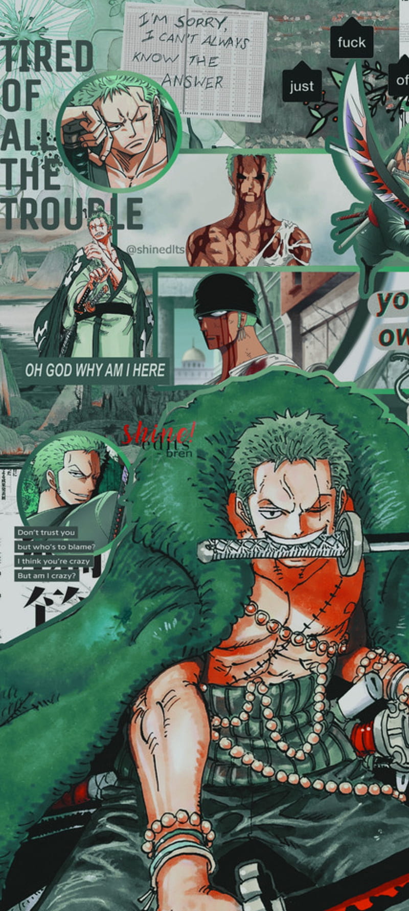 Zoro aesthetic, anime, one piece, one piece anime, HD phone wallpaper