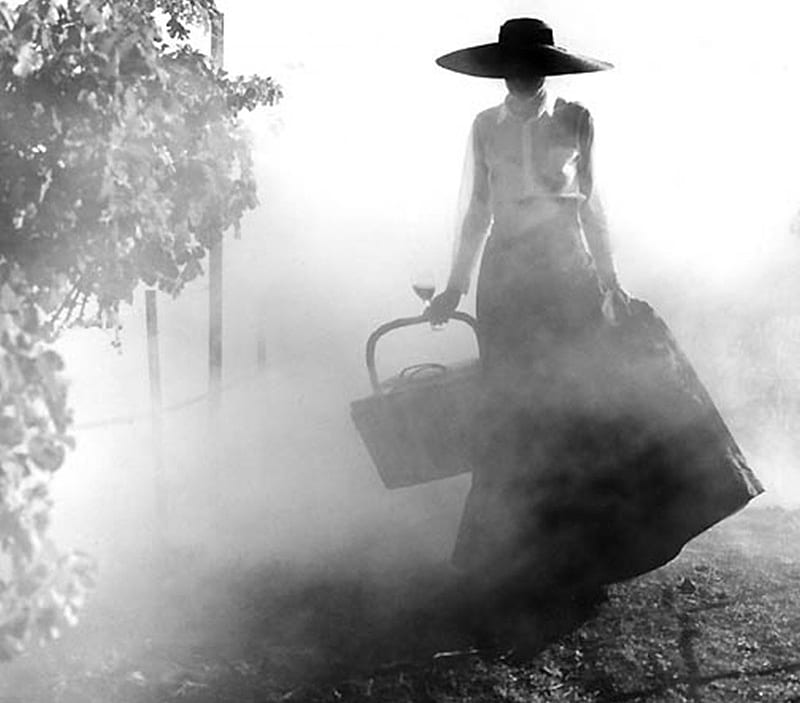 Not lost its way in the fog..., graphy, girl, basket, black and white, fog, hat, HD wallpaper