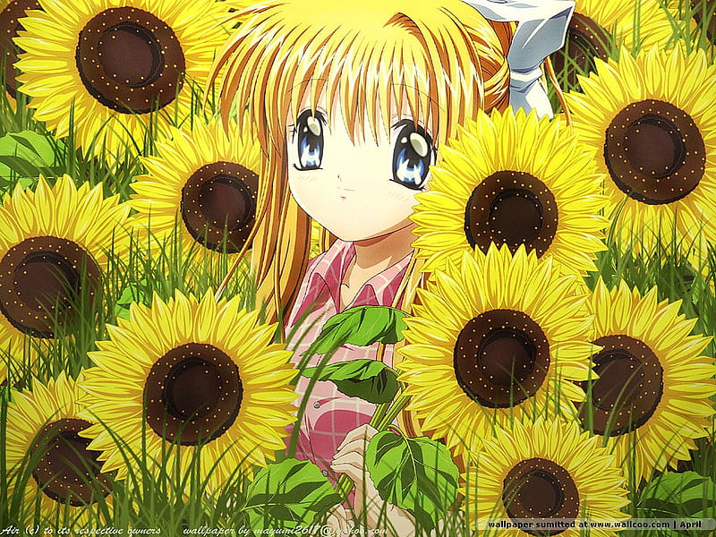 Niña girasol, linda, sol, niña, anime, ángel, flor, amarillo, Fondo de  pantalla HD | Peakpx