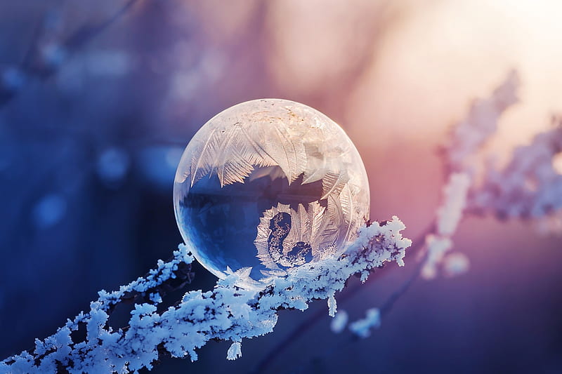 Frozen, bubble, branch, iarna, winter, ball, ice, pink, blue, HD wallpaper