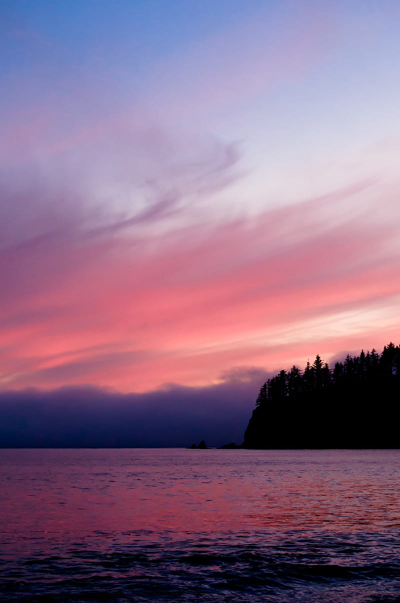 sea, trees, sunset, dark, purple, HD phone wallpaper