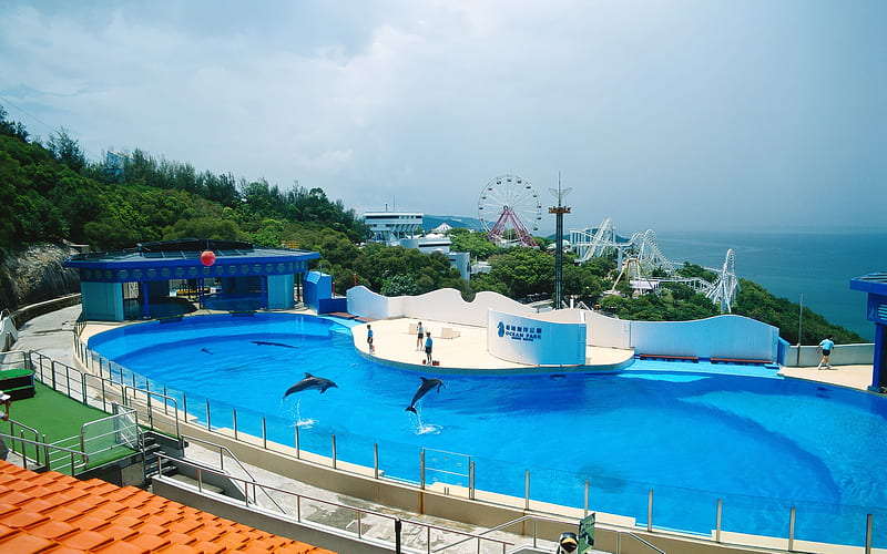 Dolphin Park-Hong Kong landscape, HD wallpaper