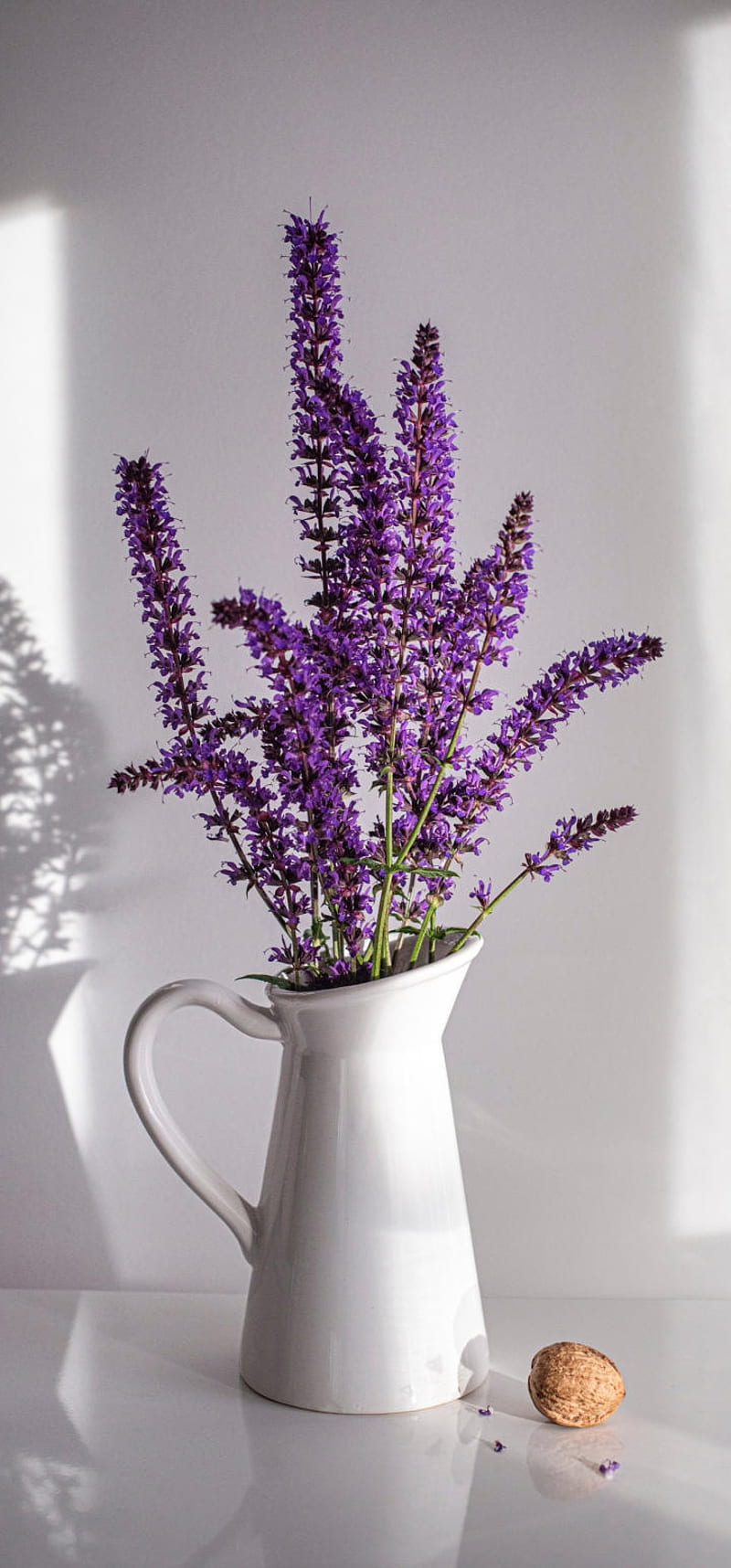 Flower pot, bonito, flowers, good, HD phone wallpaper