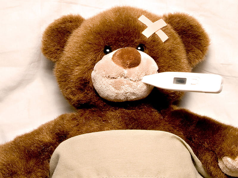 teddy bear, sick, temperature, toy, thermometer, HD wallpaper