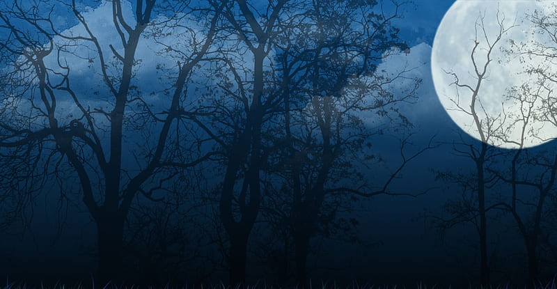 BLUE NIGHT, moon, trees, clouds, sky, blue, night, HD wallpaper | Peakpx