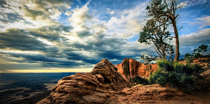 A New Beautiful Day In Canyonlands, rocks, National Park, trees, sky, clouds, green, sunrise, white, reddish, blue, Utah, HD wallpaper