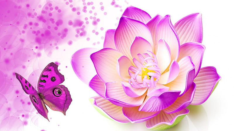 Lotus Blossom Bright, lotus, butterfly, splatter, flower, summer, lily, spring, pink, HD wallpaper