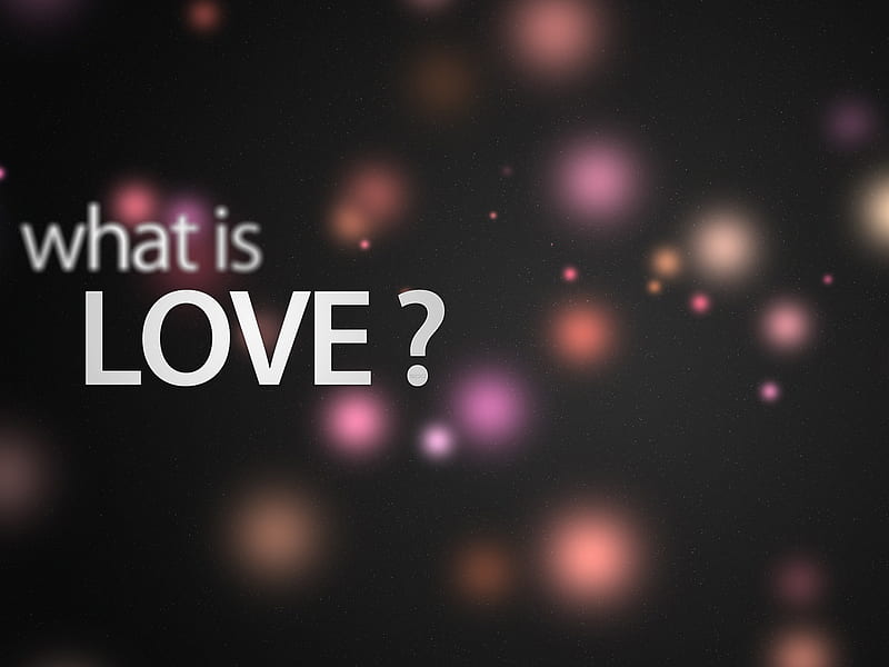 what is love-Love Series, HD wallpaper