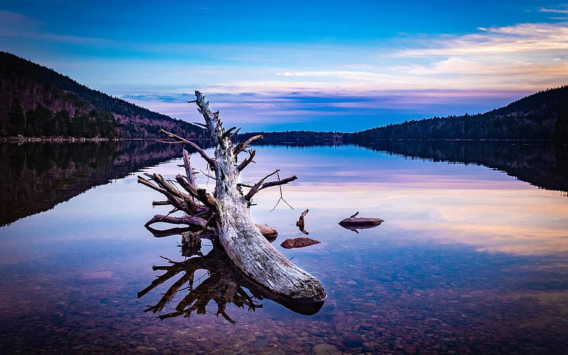 Jordan Pond, Acadia National Park, usa, mountains, sunset, maine, reflections, trees, HD wallpaper