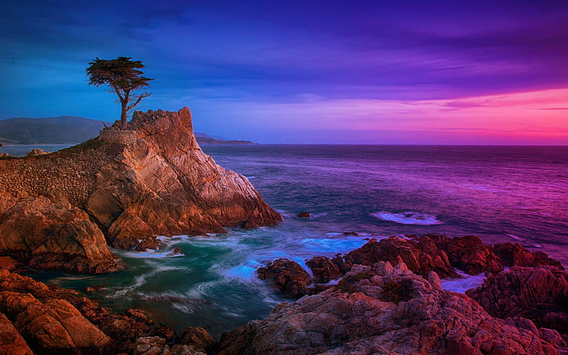 Lone Cypress at rocky beach, tree, sunset, sky, rocks, colors, clouds, HD wallpaper