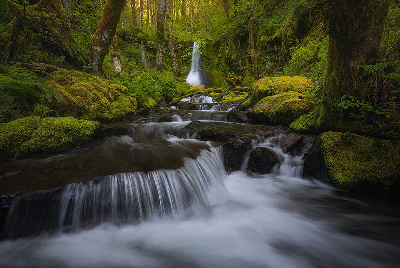 Waterfalls Waterfall Greenery Moss River Stream Hd Wallpaper Peakpx