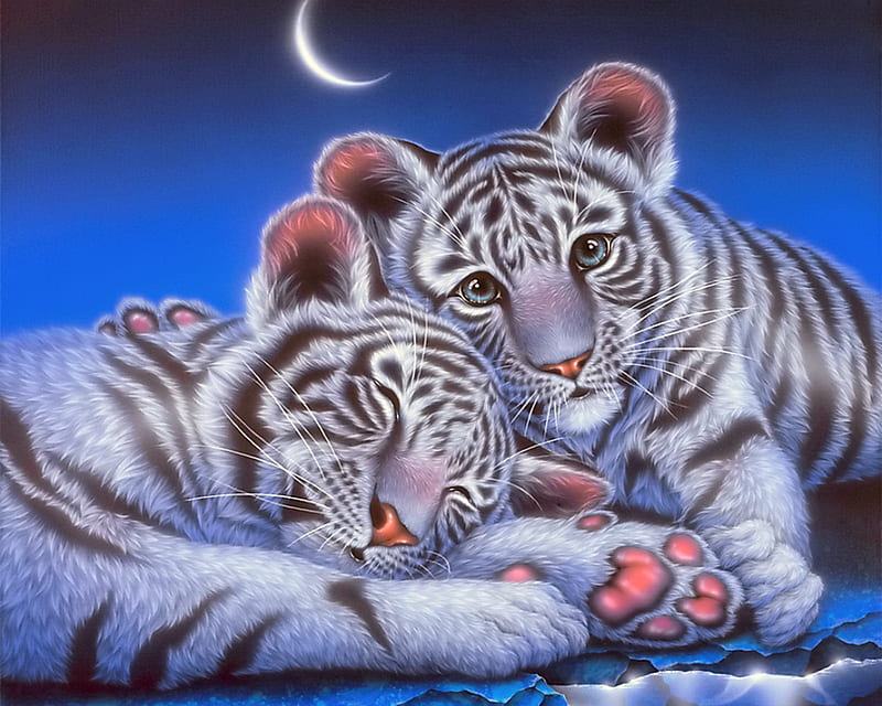Tigres Bebes Animales Bebe Lindas Tigres Fondo De Pantalla Hd Peakpx