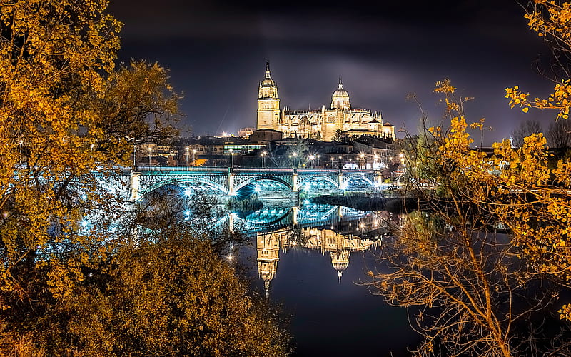 Enrique Estevan Bridge, spanish cities, Salamanca Cathedral, Tormes River, nightscapes, Salamanca, Spain, Europe, HD wallpaper