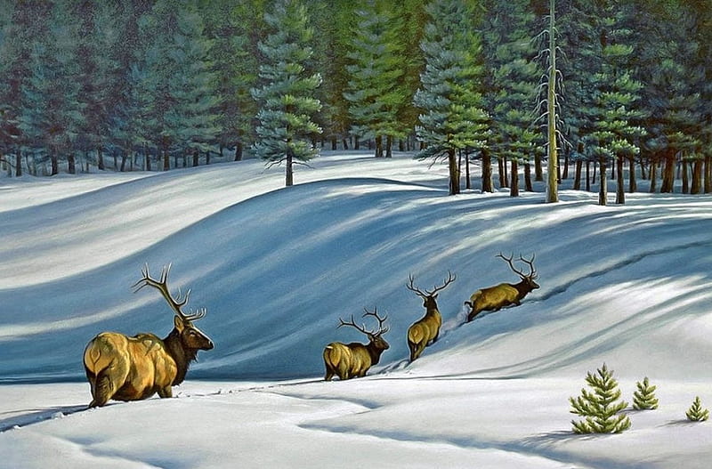 Heading for Timber, forest, snow, painting, sunshine, artwork, firs, deer, HD wallpaper
