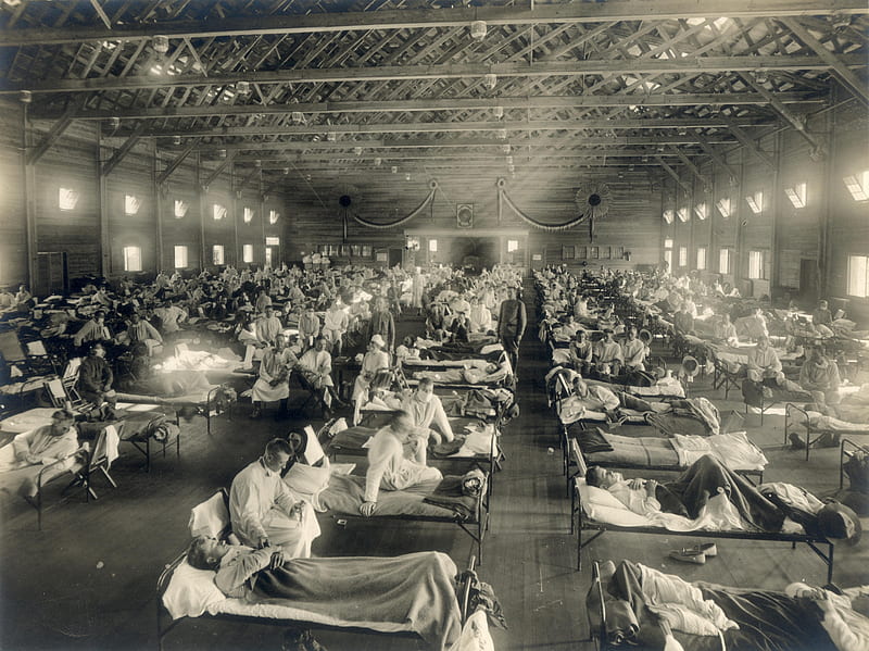 Spanish Flu (1918), Flu Pandemics, Flu, Spanish Flu, Pandemic, HD wallpaper