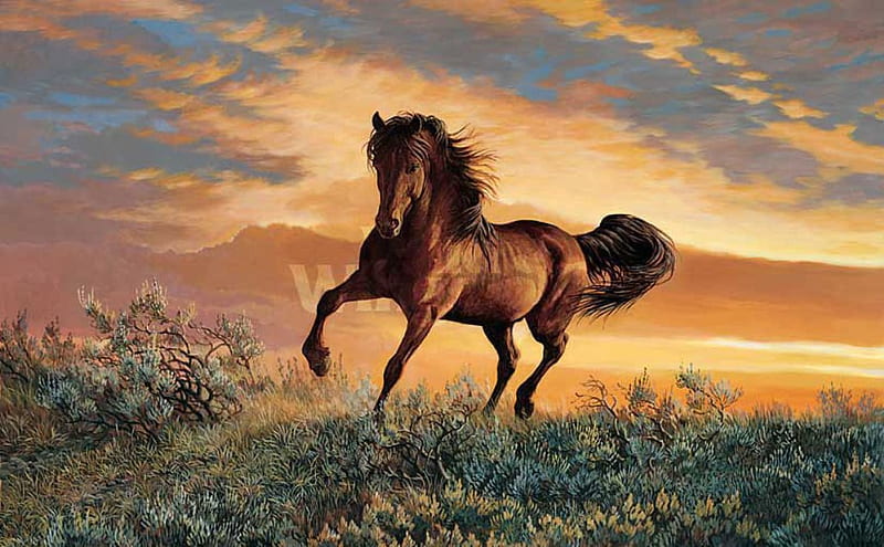 Mustang, stallion, powerfull, cavalo, horse, animals, HD wallpaper