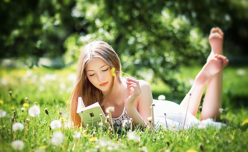 Reading Girl Pretty Babe Bonito Sexy Hd Wallpaper Peakpx