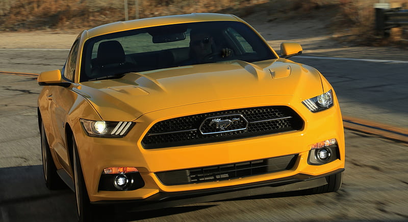 2015 Ford Mustang GT - Front , car, HD wallpaper