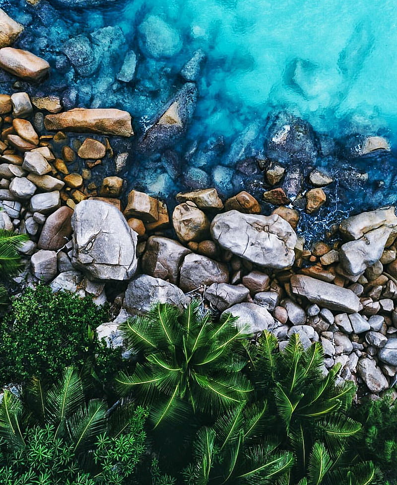 Rough Terrain , rocks, water, forest, terrain, HD phone wallpaper