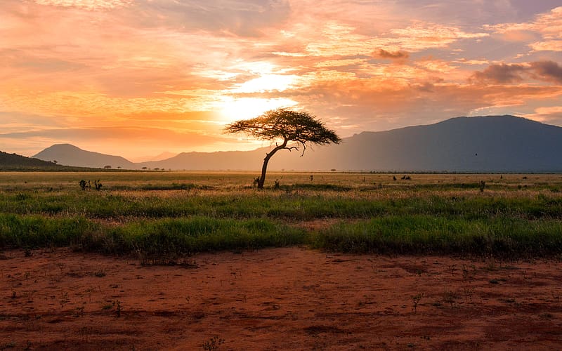 Sunrise Tsavo East National Park Kenya Africa, HD wallpaper
