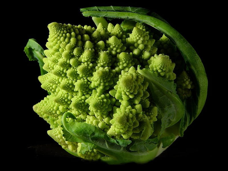 Broccoli - Fractal, fractals, 3d, green, spongy, HD wallpaper