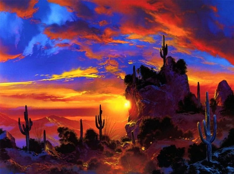 Sunset in Desert, sun, clouds, sky, cactus, landscape, HD wallpaper