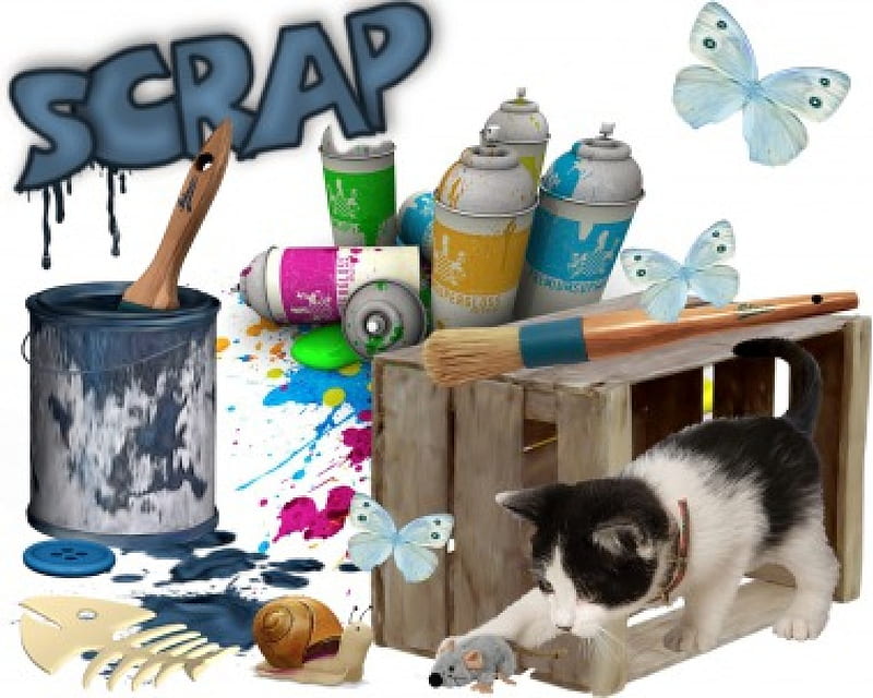 Graffiti, scrap, color, cat, HD wallpaper