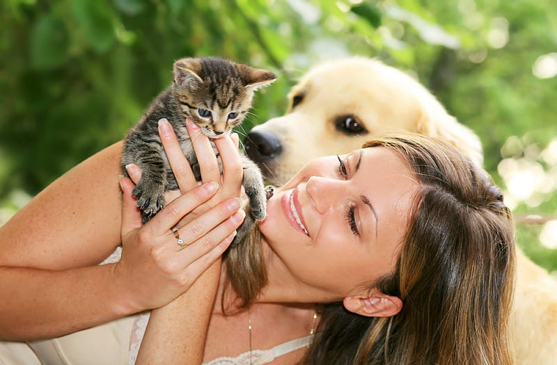 Together We Are Family, tiny, girl, golden, smile, pets, kitten, dog, friends, HD wallpaper