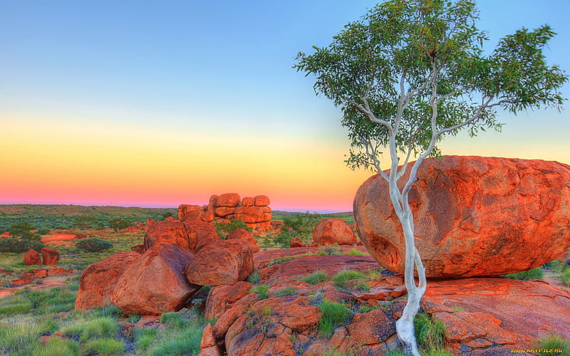 Tree, rocks, sun, high dynamic range, background, afternoon, sundown, nice, stones, paisage, sunbeam, sunrises, heartwarming, desert, sunrays, torrid, white, hed-hot, bonito, leaves, green, scenery, blue, horizon, heat, paisagem, heated, day, r, nature, branches, pc, scene, orange, yellow, calm, scenario, evening, morning, , warm, paysage, trees, sky, panorama, snug, baking, cool, serenity, awesome, sunshine, hop, landscape, gray, sunny, trunks, graphy, sunsets, hot, pink, tranquility, amazing, view, leaf, serene, plants, natural, HD wallpaper