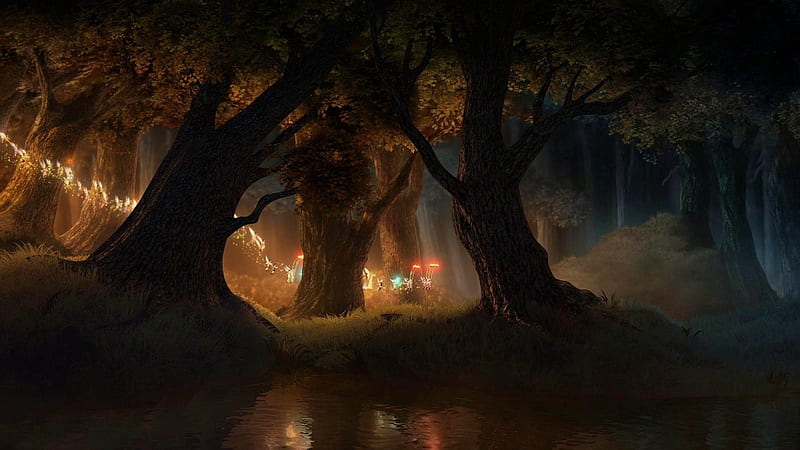'Little fairy spirits running thru the forest'...., mystical, forest, fairies, magical, trees, night, spirits, HD wallpaper