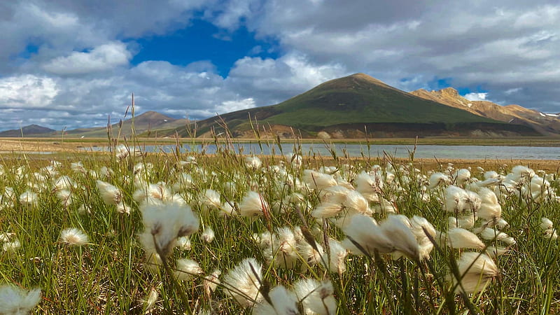 Landmannalaugar in the Icelandic Highlands, sky, lake, cotton grass, hills, landscape, clouds, HD wallpaper