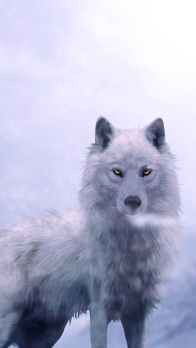 Wolf, white, winter, HD phone wallpaper