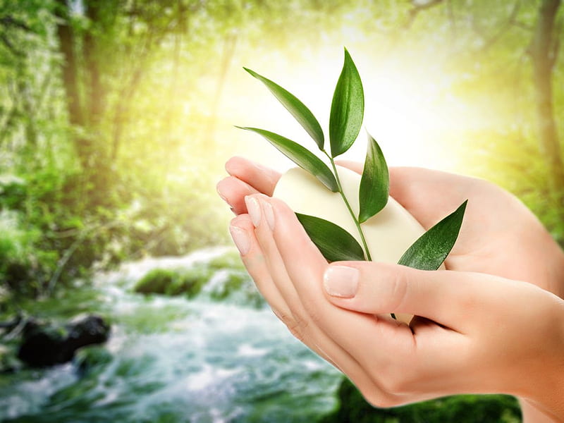 Protect the environment, soap, ecology, water, environment, hand, nature, HD wallpaper