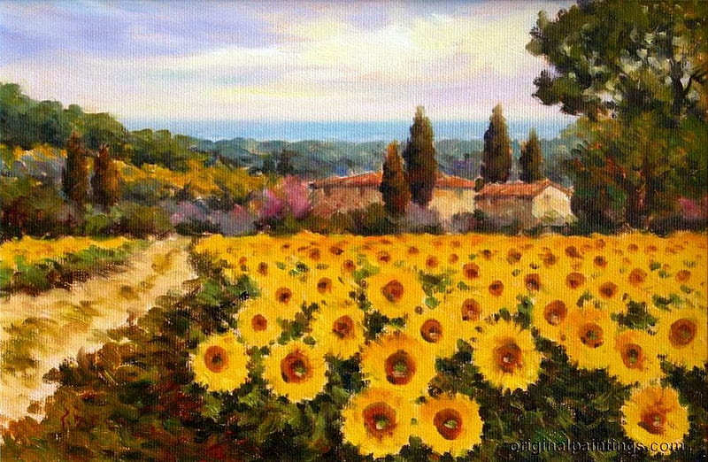 Paolo Bigazzi. Sunflowers in Castagneto Carducci, Tuscany, paolo bigazzi, art, sunflower, field, pinting, HD wallpaper