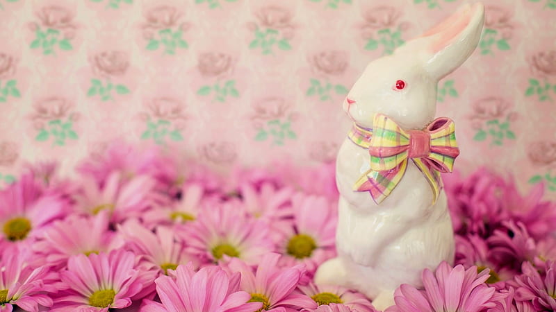 EASTER 2017, daisies, holiday, flowers, bunny, easter, pink, HD