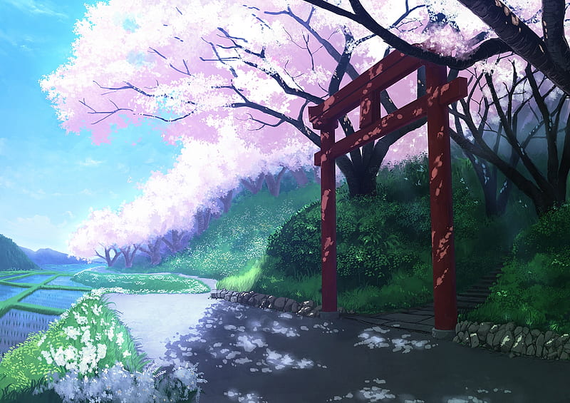 Torii Gate, sakura, torii, japanese, cherry blossom, japan, anime, shrine,  temple, HD wallpaper | Peakpx