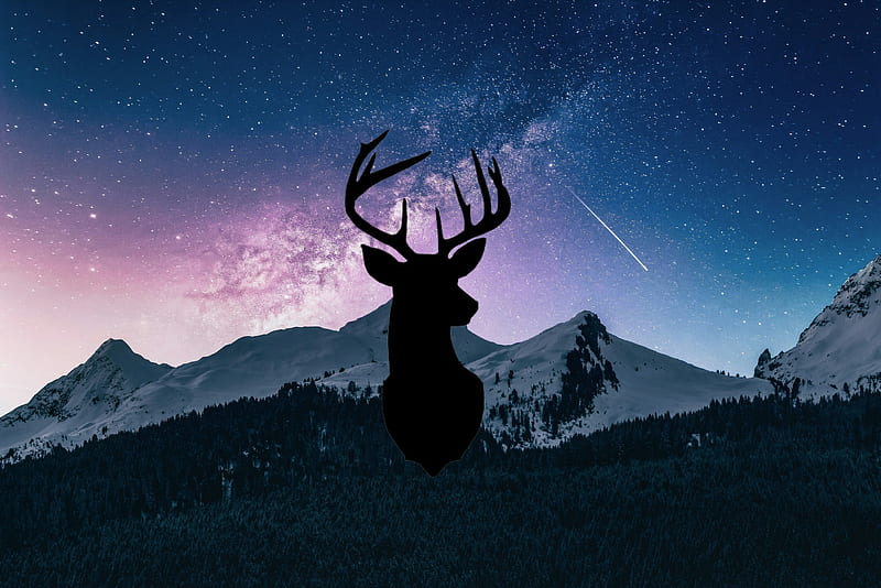 Deer , forest, galaxy, nature, HD wallpaper