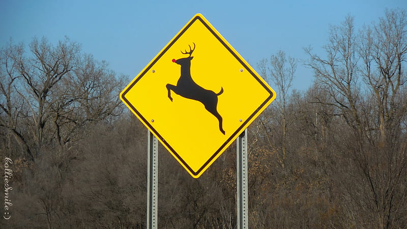 Rudolph's Reindeer Crossing :D, noe1, Christmas, deer crossing sign, reindeer, trees, Traffic Signals nSigns, deer, Rudolph, HD wallpaper